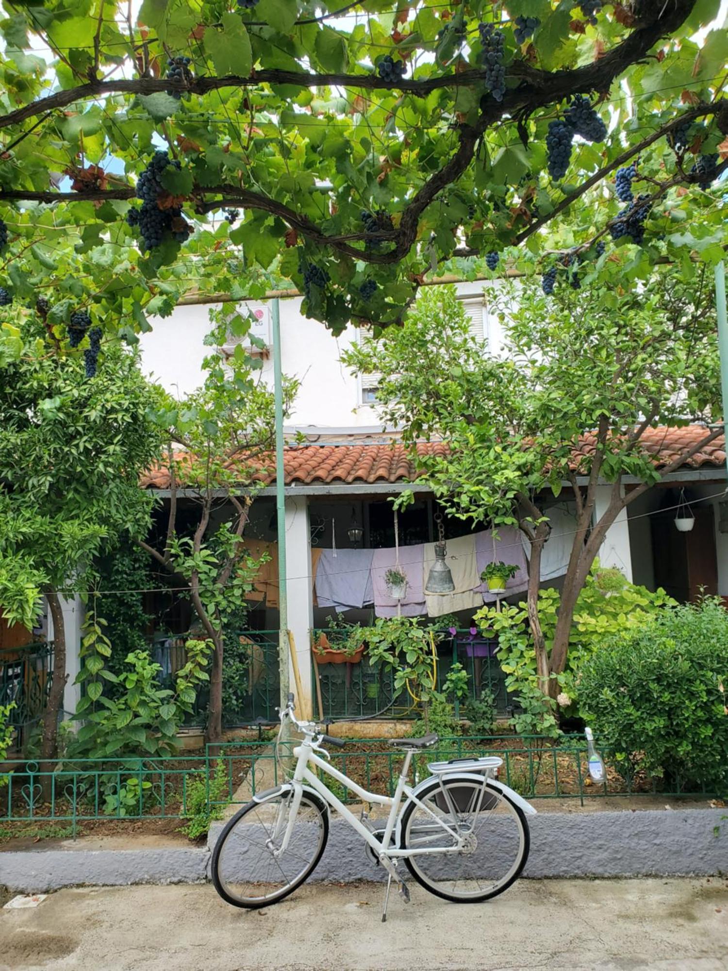 Unique Traditional House, Hosted By J&G Tirana Eksteriør billede